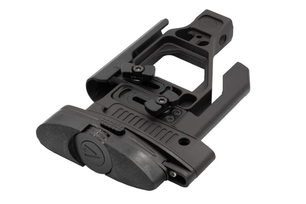 accuracy international competition buttstock